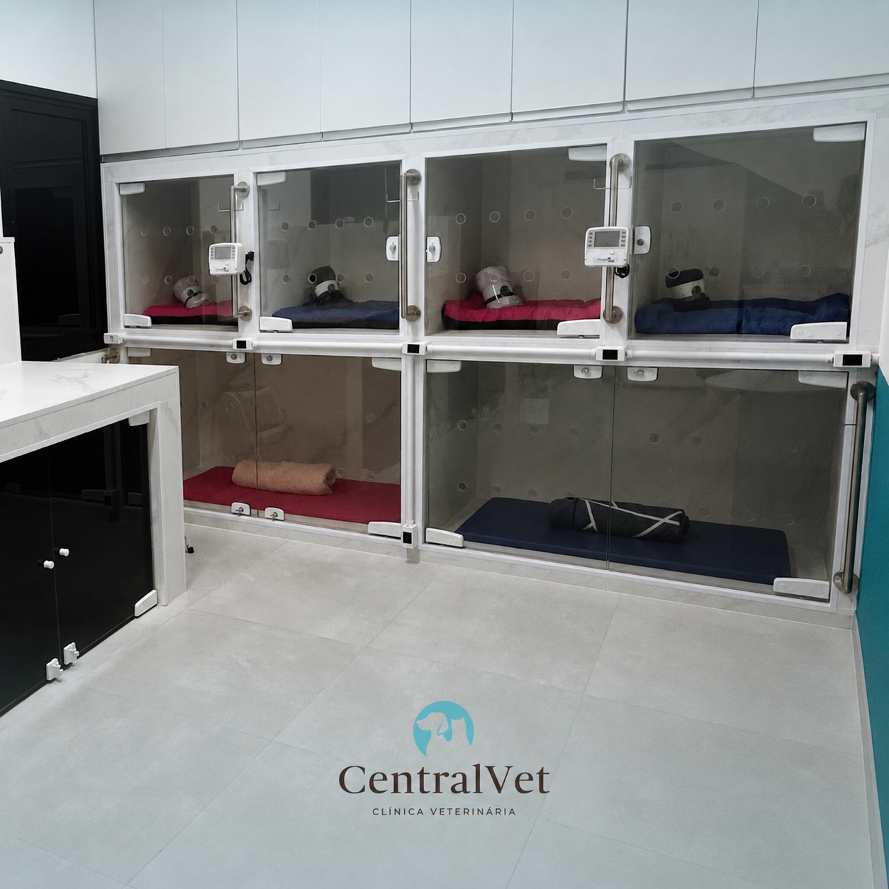 Internação monitorada, CentralVet Guarulhos