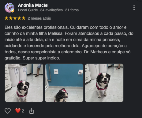 Avaliação de Andréia Maciel no Google sobre o cuidado com a cadela Melissa