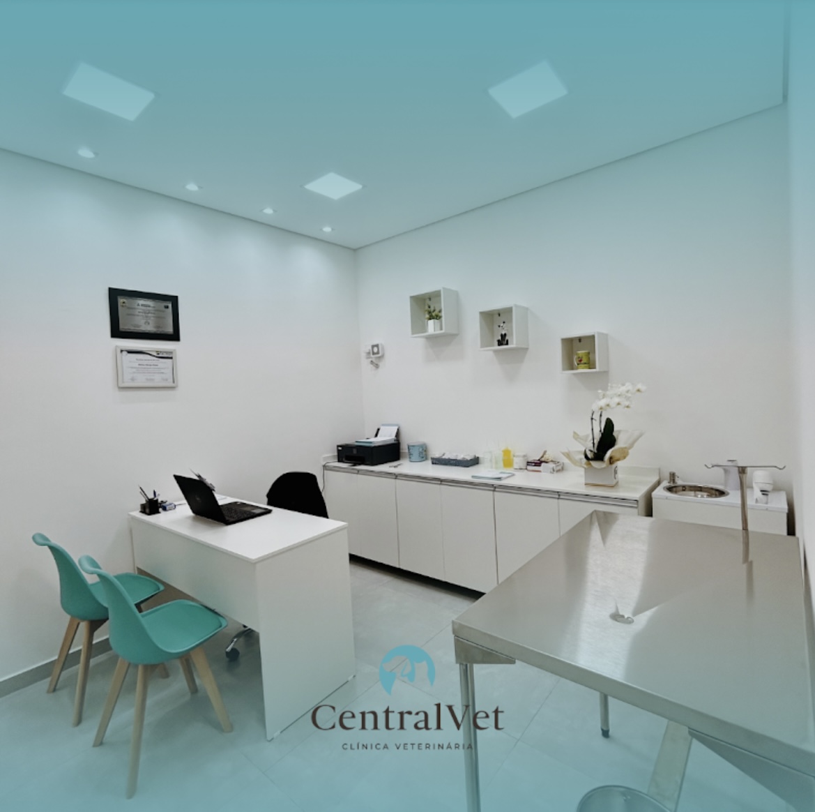 Consultório equipado, CentralVet Guarulhos