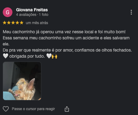Avaliação de Giovana Freitas no Google após atendimento de emergência